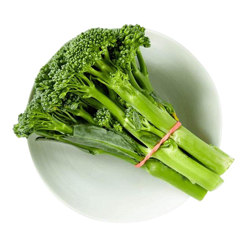 有机西兰苔芥菜苔四季播种种子