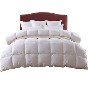 95匈牙利白鹅绒冬被 单双人被子加厚保暖羽绒被芯 贡缎手工臻品被