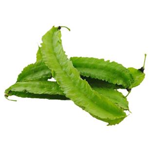 四棱豆种子四角豆种孑香龙豆皇帝豆角籽种爬藤蔬菜种籽四棱豆苗