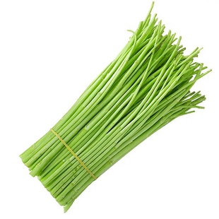 【现摘现发】黎蒿菜藜蒿芦蒿5斤超值装农家泥蒿自种自销去叶根