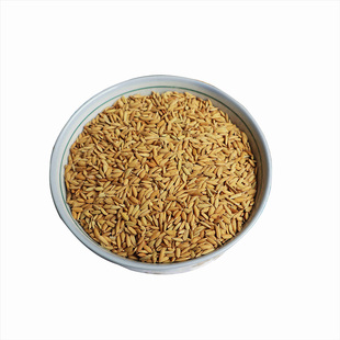 带壳稻谷饲料10斤喂鸡鸭鹅鸽子鸟食圈养禽类新原粮宠物1KG包邮