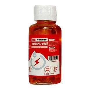 猛爆芽】文竹营养液专用肥催嫩芽促绿叶专治发黄干尖枯瘦烂根