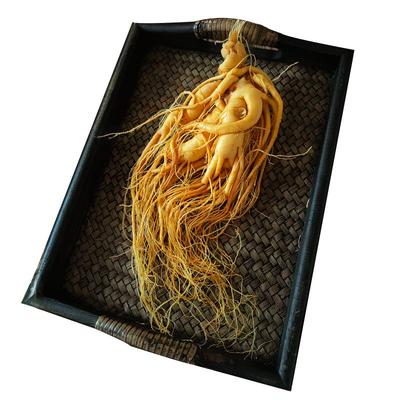 人参长白山人参煲汤泡酒药材鲜参