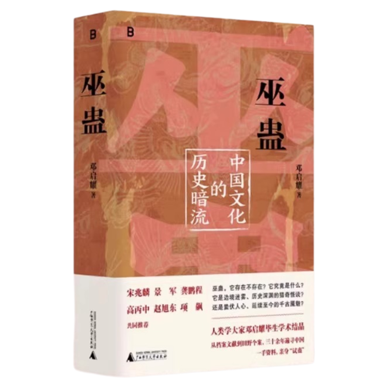 巫蛊中国文化的历史暗流 邓启耀 著 叫魂拆姻炼蛊扎小人斗风水等揭开背后的真相 一部长达几千年的中国文化史 广西师范大学出版社