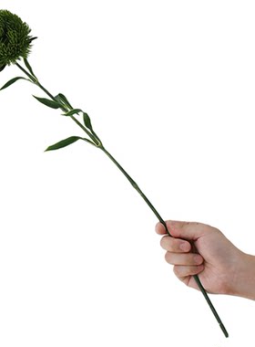 绿石竹仿真花客厅装饰假花