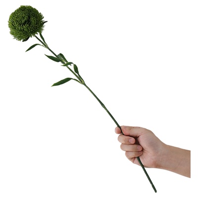 绿石竹仿真花客厅装饰假花