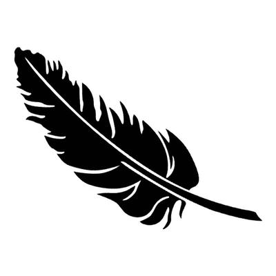 车贴划痕遮挡镭射反光个性羽毛贴