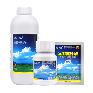 云大120万保芸苔素内酯0.004%促分蘖促芽促根促进生长生长调节