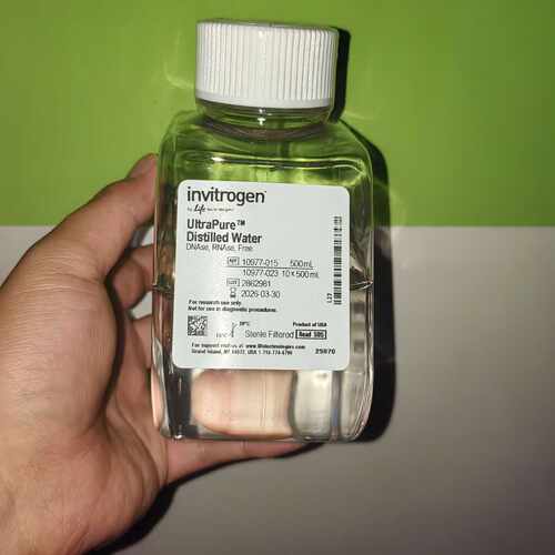 议价赛默飞无核酸酶水invitRogen distilled water 10977015 1097