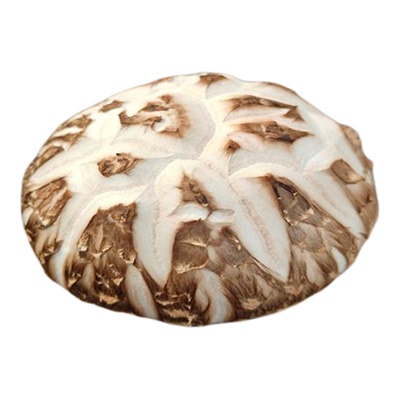 新鲜湿花菇，出口品质香菇