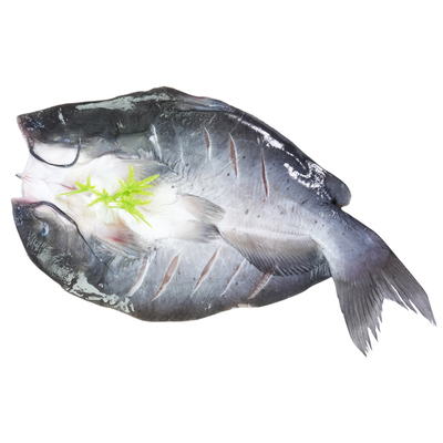 清江鱼三去开背净重500g-1300g