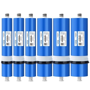 时代沃顿ro膜反渗透滤芯75汇通100净水器400通用600家用800G纯水