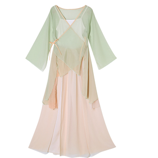 古典舞舞蹈服超仙纱衣中国风身韵飘逸民族舞套装中学生艺考练功服