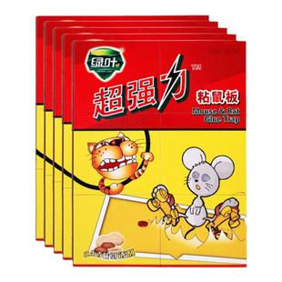 绿叶超强力粘鼠板加厚硬拉力好老鼠胶花生香味引诱剂抓捕大小老鼠