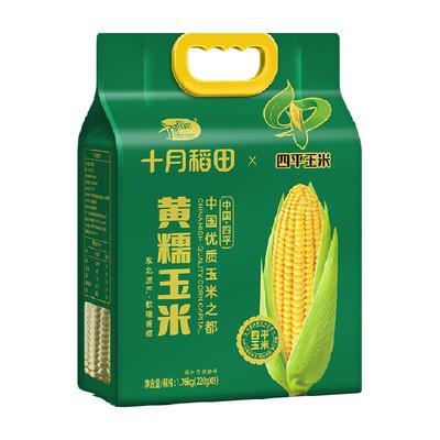 十月稻田东北黄糯玉米