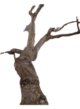 真老东南野生桃木树枝条干粗棒棍簪子原木料护身婴儿防惊吓跨火盆