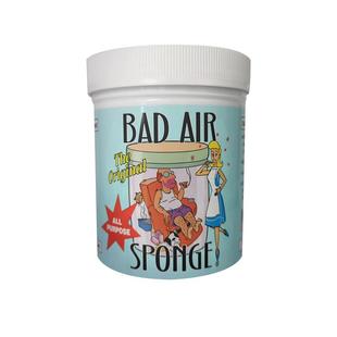 美国bad air甲醛清除剂净化剂新房除味活性炭家用除味剂果冻车载