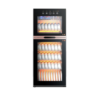 志高消毒柜商用大容量饭店厨房餐具消毒碗柜家用不锈钢立式二星