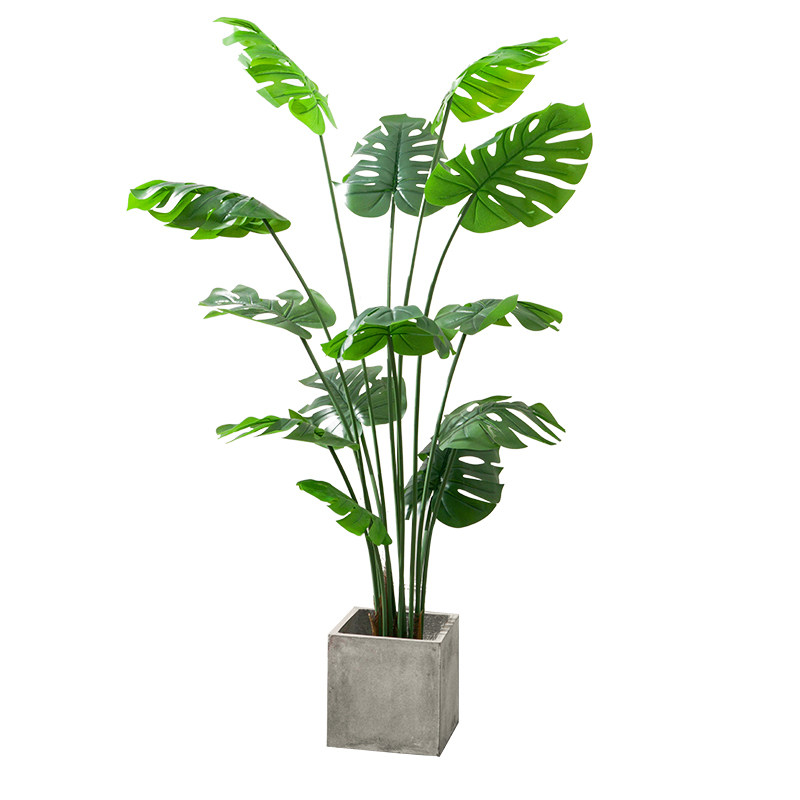 恋柚龟背仿真绿植大型