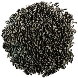 高产黑芝麻种子种籽孑农家白芝麻四季菜籽春季籽种盆栽蔬菜菜种
