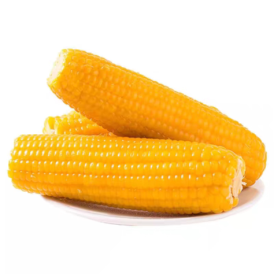 吉林鲜食玉米东北黄糯玉米真空装包新鲜甜糯黏软香甜代餐玉米棒
