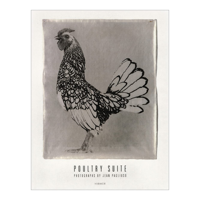 【现货】Jean Pagliuso：Poultry Suite 乔伊·帕格鲁索：家禽书籍进口原版