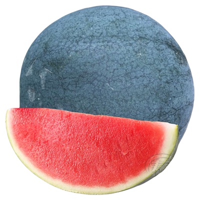 无籽西瓜种子种籽苗秧