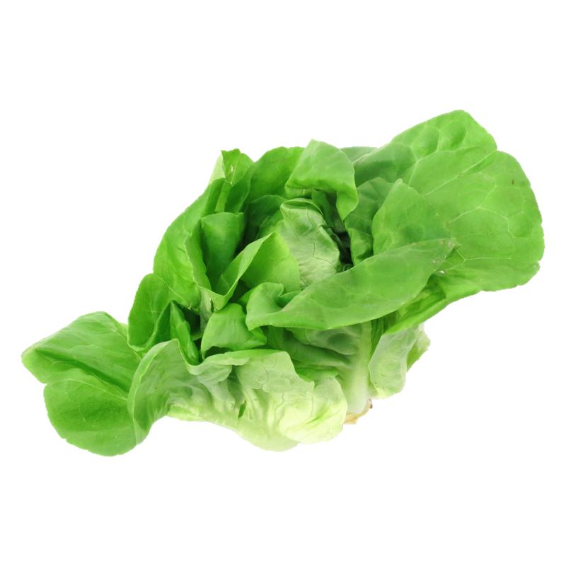 【沁蕊】新鲜奶油生菜西餐500g