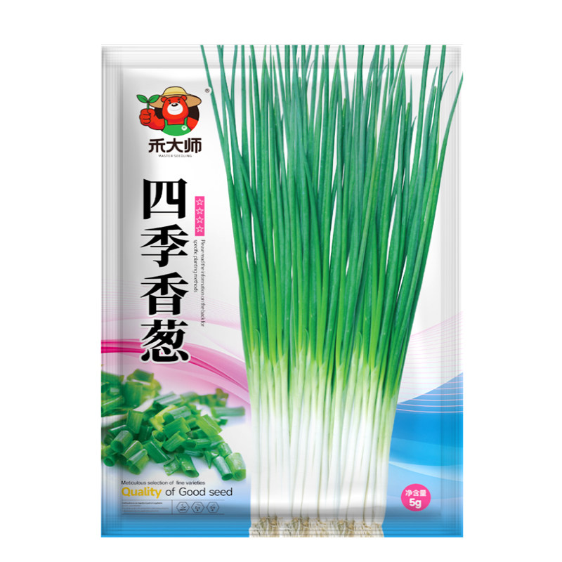 四季小香葱种子葱籽庭院阳台室内种植葱种子耐寒易活盆栽小葱