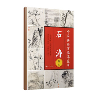 中国画册页临摹范本·石涛-原大印刷 高清还原 可以完全摊开 使用方便 临摹赏析皆宜 江西美术出版社