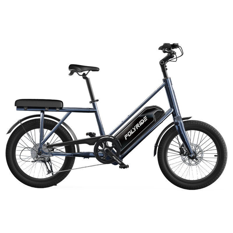 POLYRIDE宠物亲子电助力自行车