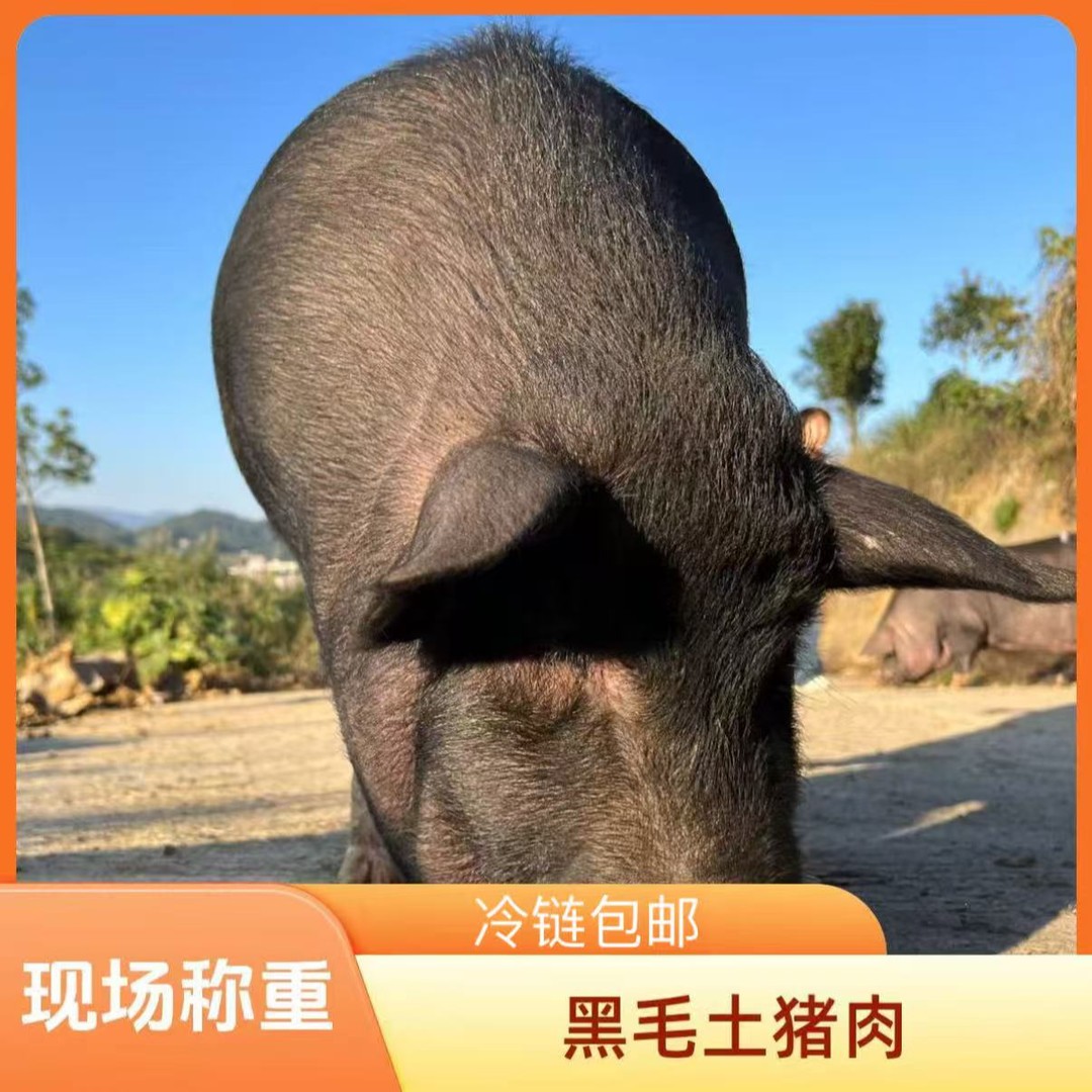 黑毛土猪肉现场称重熟食土猪肉