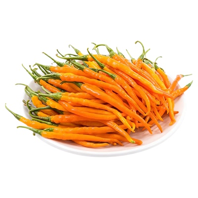 湖南本地黄贡椒摘产地直发特色蔬菜特辣香辣剁椒酒店食材新鲜辣椒