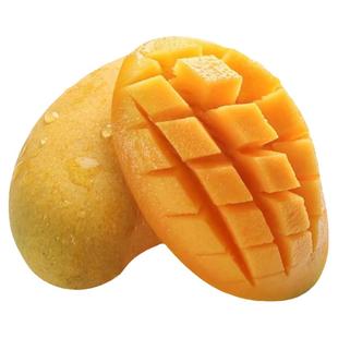 广西台农芒果苗正宗嫁接芒果树苗产量高结果快庭院阳台盆栽地栽