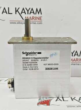 SCHNEIDER ELECTRIC RSM63/8 24VAC 50/60HZ S125:1 REGISTER CON