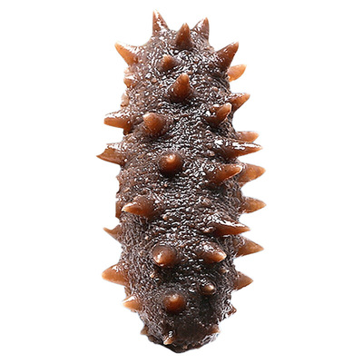 滋补营养即食Q弹大只海参