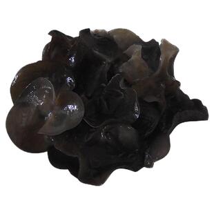 野生黑木耳干货藏区农家散装山货精选秋耳新鲜甘肃甘南土特产250g