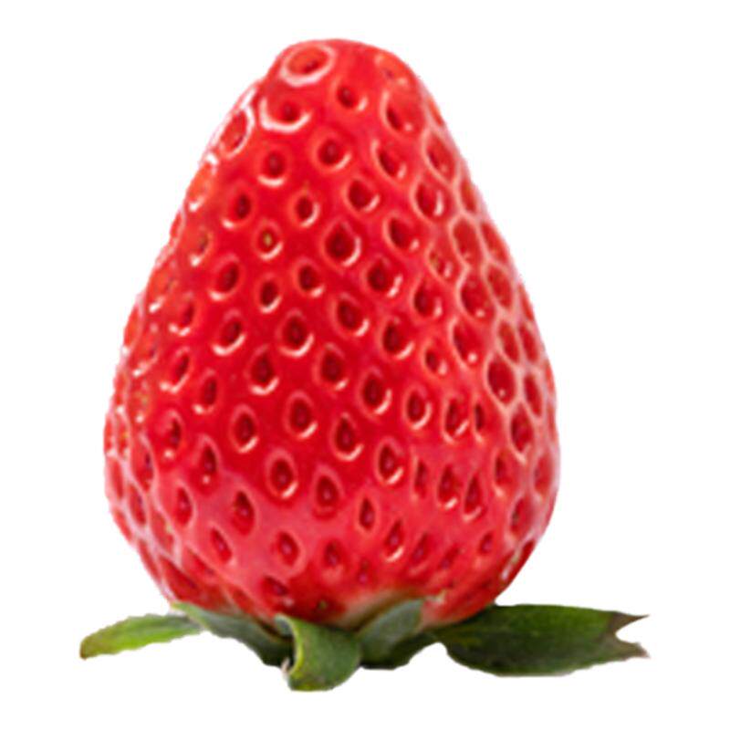 桃萤津选 赤望「R」草莓 AIberry联名 O农残 4D垂直农场产 礼盒SF