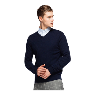 圣雪绒秋冬新款100%山羊绒男V领简约纯色商务休闲长袖套头针织衫