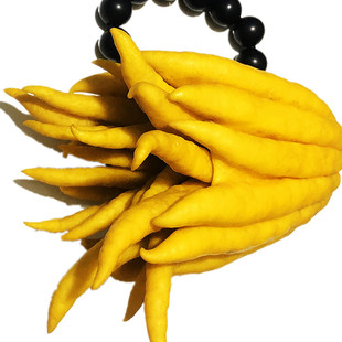 现摘佛手品质保证价格实惠自家种植带枝水养水培供佛观赏清供闻香