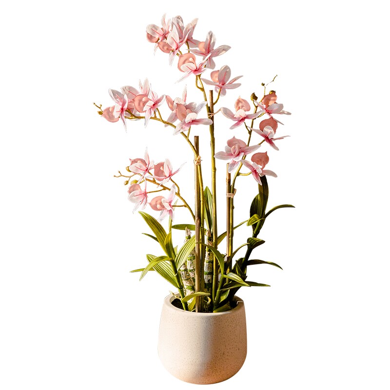 掬涵蝴蝶兰假花仿真花兰花盆景套装客厅桌面绿植玄关客厅盆栽摆件