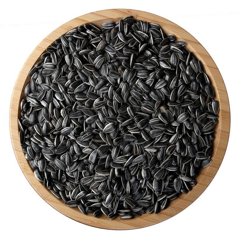 珍珠瓜子油葵小瓜子现炒熟瓜子500g原味袋散装特产炒货生油葵瓜子