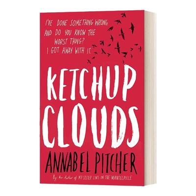 Ketchup Clouds 番茄酱之云 安娜贝尔皮彻 英文原版文学小说