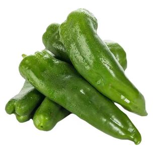 特大牛角椒秧苗羊角椒青秧苗辣椒苗微辣高产四季盆栽蔬菜苗尖椒苗