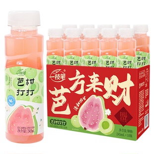一枝笔芭柑打打245ml*10瓶芭乐油柑汁新年礼盒果汁送礼高端礼品