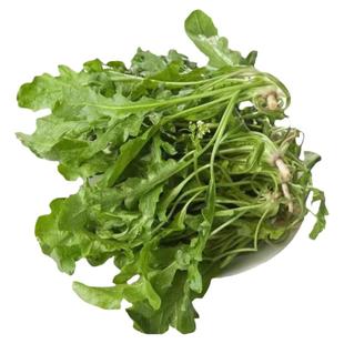 顺丰包邮河南露天新鲜荠菜地丁菜农家现挖北方当季野生荠荠菜4斤