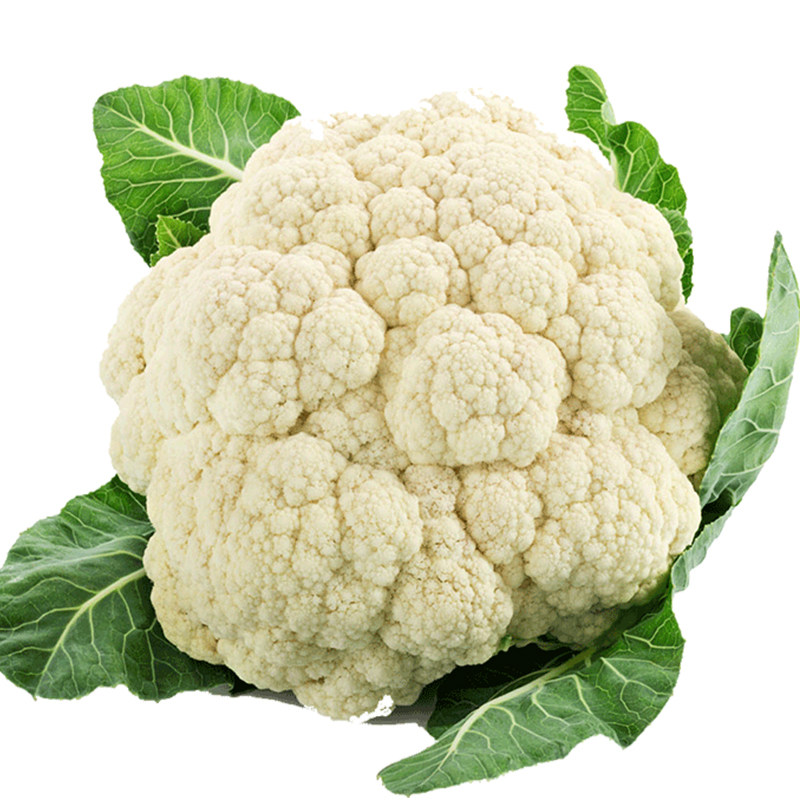 松花菜种子宝塔花椰菜春季秋季菜花种籽高产花菜西兰花蔬菜孑