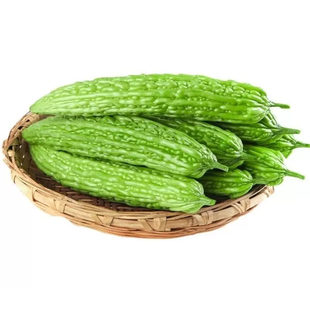 山东本地绿苦瓜新鲜农家自种珍珠蔬菜湘菜馆饭店食材凉瓜现摘当季