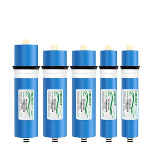 ro膜反渗透滤芯400g100g净水器滤芯通用家用惠灵顿厨房纯水机配件