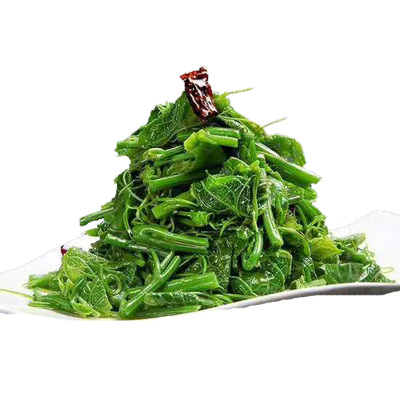 野生老山芹大兴安岭山野菜批发